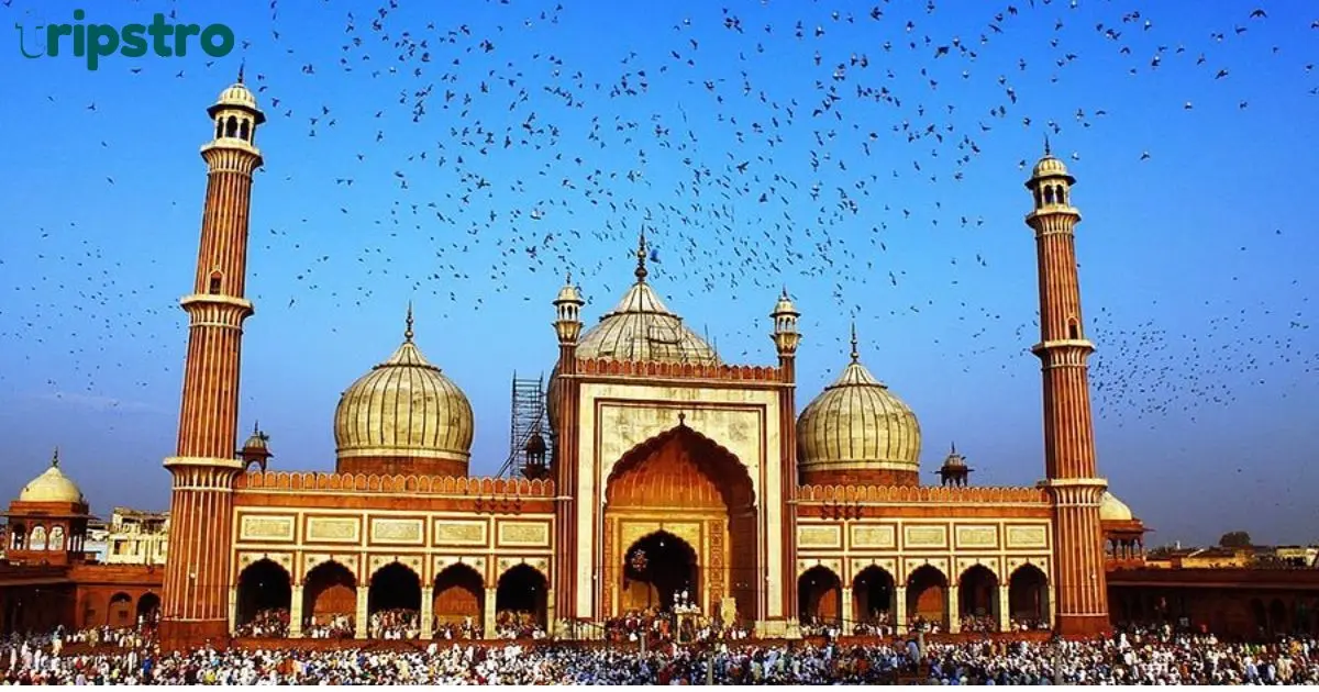 Historia de la Jama Masjid de Agra