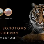 Тур по Золотому треугольнику с Рантамбором: культура, наследие и незабываемые приключения